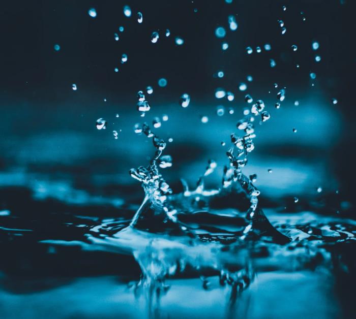 1652169349349966.jpg 15.jpg