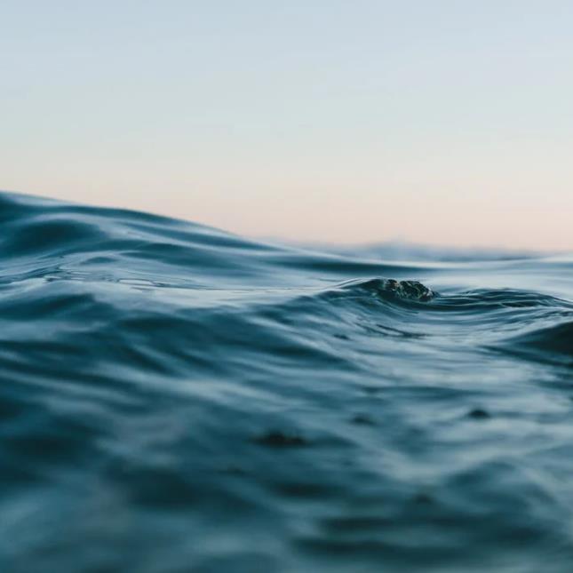 1660531206321953.jpg 22.jpg